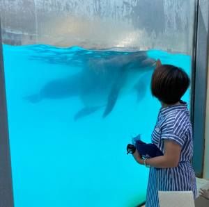 Meet your Posher, Dung